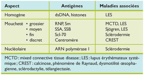 Utilité de la recherche des autoanticorps dans la pratique quotidienne