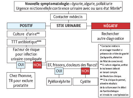 prostatitis és klebsiella