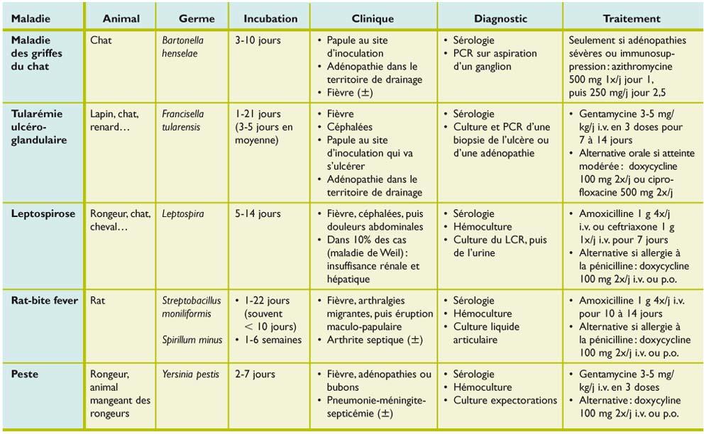 Morsures D Animaux Et Risque Infectieux