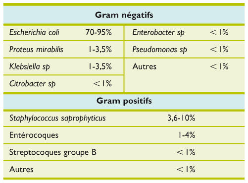 Traitement des infections urinaires simples : impact des ...