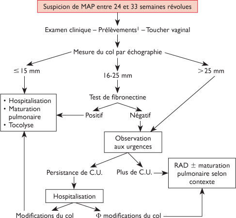 Progestérone par voie vaginale chez les femmes avec une menace d ...