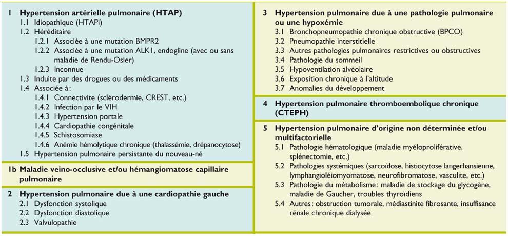 Detection Et Traitement Precoce De L Hypertension Arterielle Pulmonaire