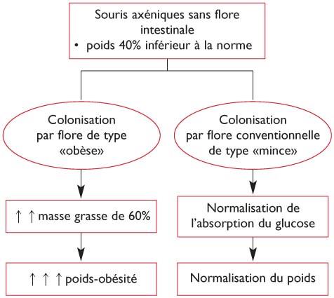 Marketing And https://agilebio.com/livehelp/pg/?utilisation-de-steroides-et-performance-humaine.html