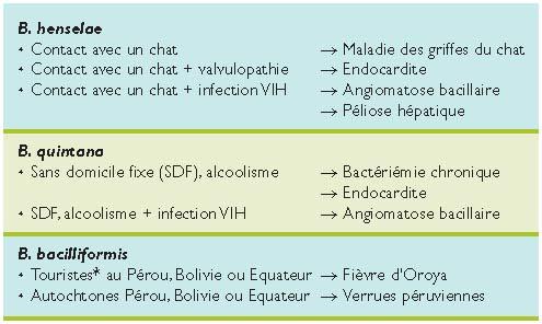 Maladie Des Griffes Du Chat Et Autres Bartonelloses Maladie Des Griffes Du Chat Et Autres Bartonelloses