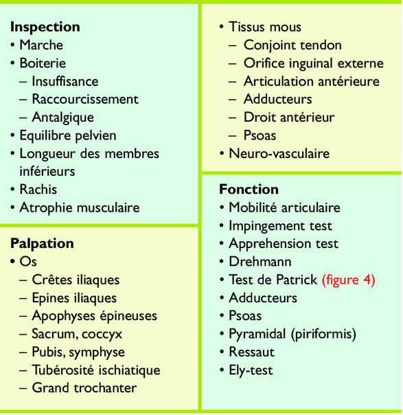 Douleurs inguinales chez le sportif: examen clinique et radiologique