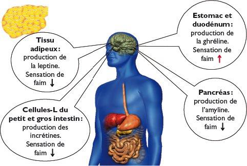 Où est le meilleur https://jetanabolisants.com/product-category/para-pharma-decan-p-150mg-ml/ ?
