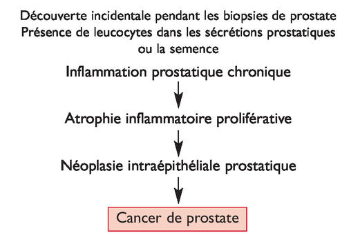 milyen korban jelenthet prostatitis)