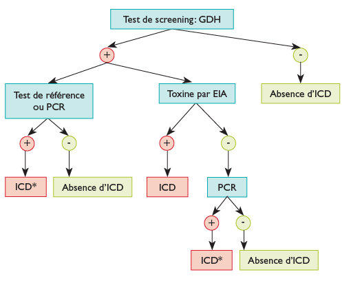 recherche toxine clostridium difficile