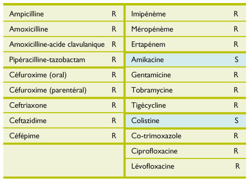 bacterie oxa 48