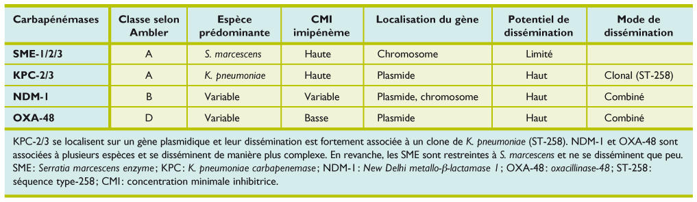 bacterie oxa 48