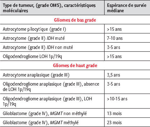 prise en charge des tumeurs cerebrales primaires une approche multidisciplinaire