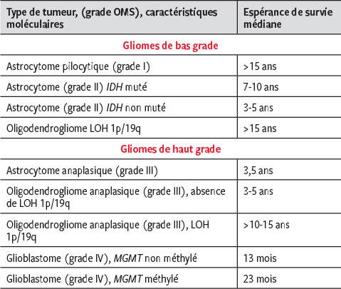 Prise en charge des tumeurs cérébrales primaires : une approche ...