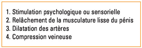 Trouble de l'érection : Que faut-il savoir sur les troubles de l'érection ?