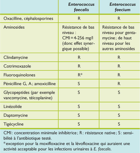 Fecal Enterococcus és prostatitis