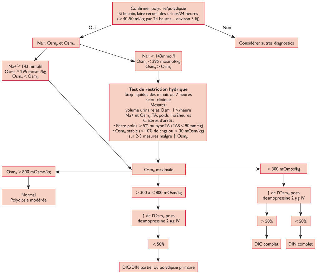 diabete insipide et adh