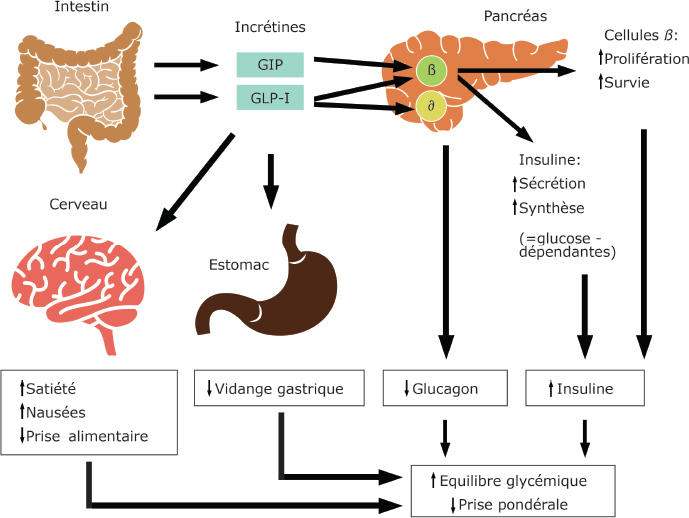 Les patients GLP-1 ont manqué des économies plus de 10 millions de dollars en un quart