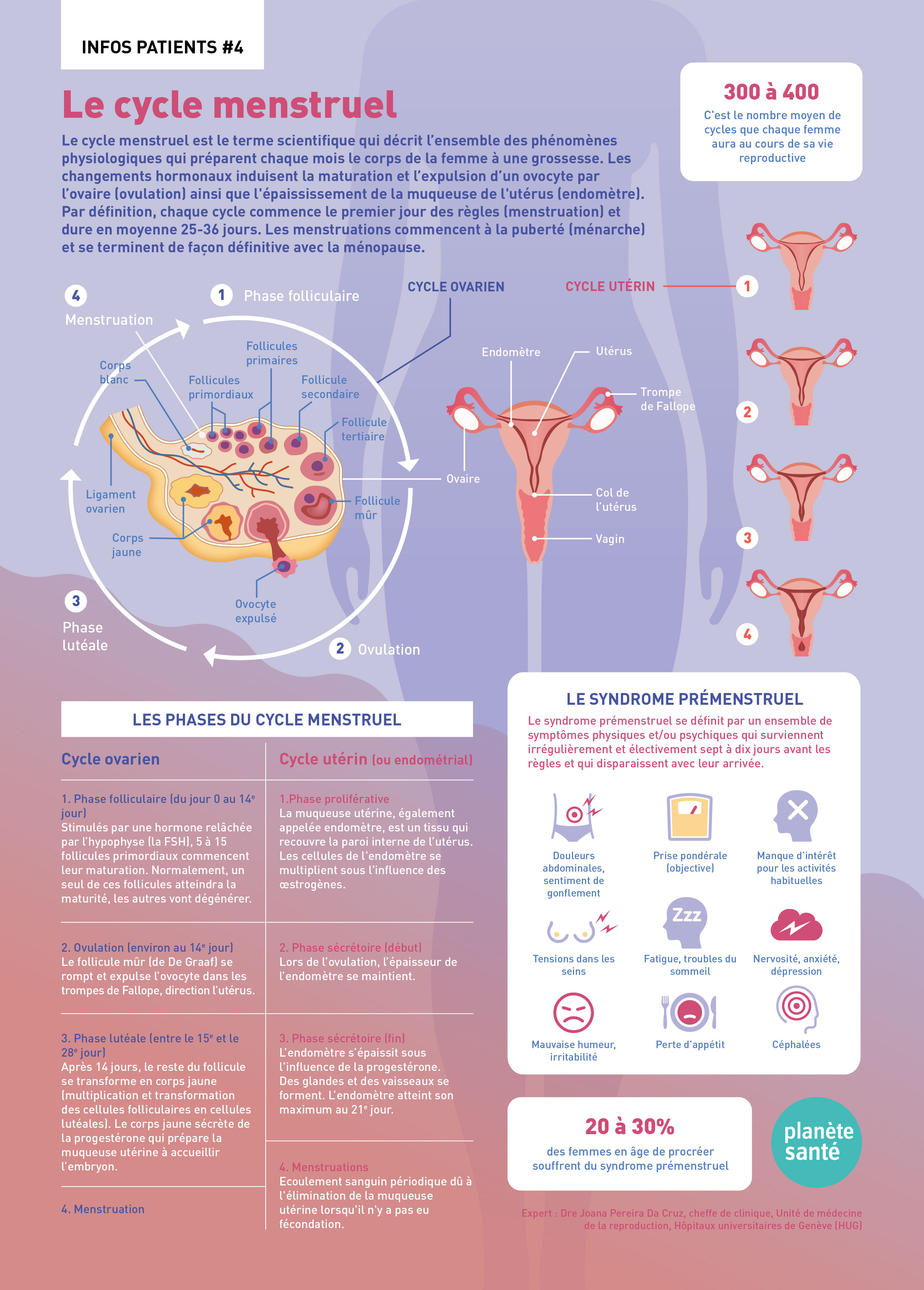 Le cycle menstruel | Revue Medicale Suisse