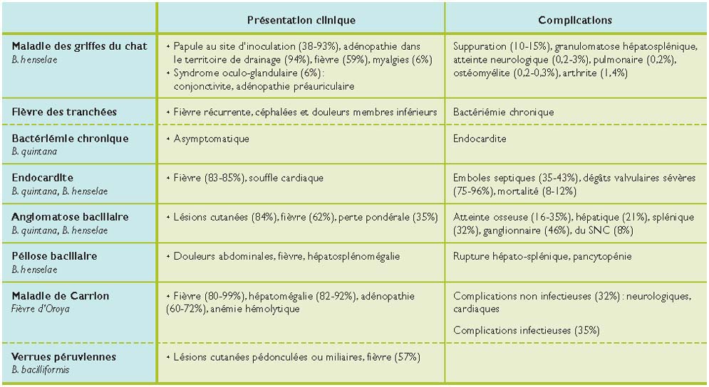 Maladie Des Griffes Du Chat Et Autres Bartonelloses Revue
