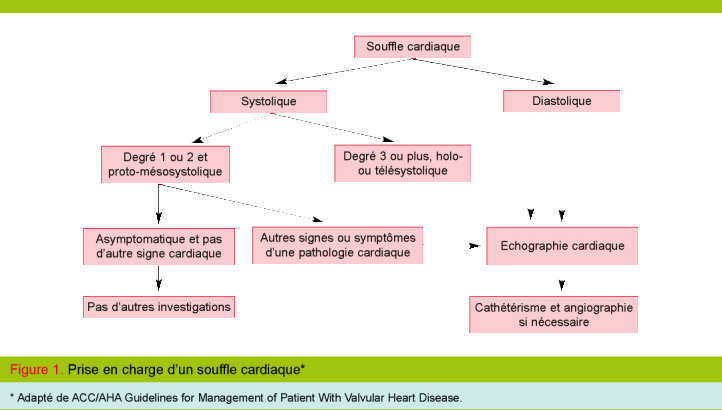 Souffle Cardiaque Et Indications A L Echocardiographie Revue