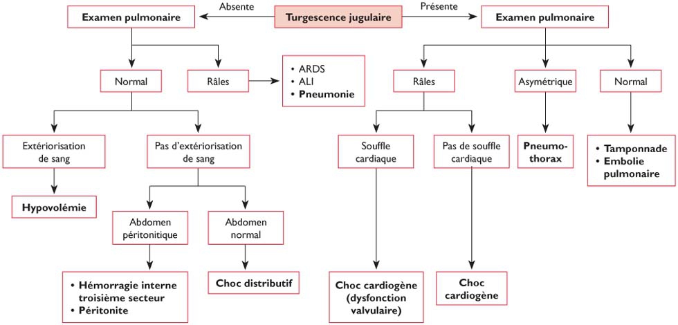 Etat De Choc Approche Diagnostique Aux Urgences Revue