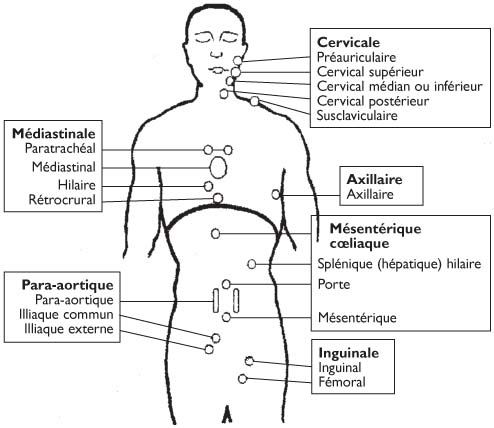 Traitements Actuels Du Lymphome Folliculaire Revue Medicale Suisse
