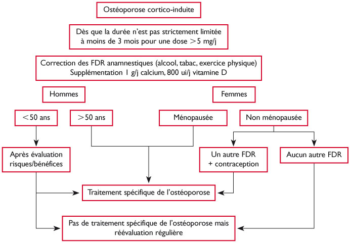 Prophylaxie de l’ostéoporose cortisonique : qui, quand et quoi ...