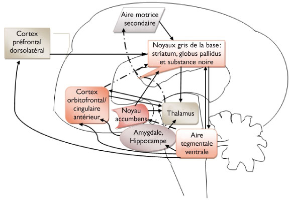 L Apathie Un Symptome Transnosographique Diagnostic Differentiel Et Prise En Charge Revue Medicale Suisse Définitions synonymes traductions dictionnaire analogique littré wikipedia anagrammes apathie. l apathie un symptome