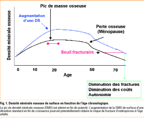 Sante Osseuse De L Adolescent Revue Medicale Suisse