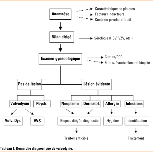 Vulvodynies Et Vulvovestibulites La Demarche Diagnostique Est Toujours Necessaire Revue Medicale Suisse