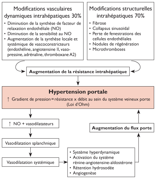 Hypertension Portale Et Prise En Charge De Lascite Revue Médicale Suisse