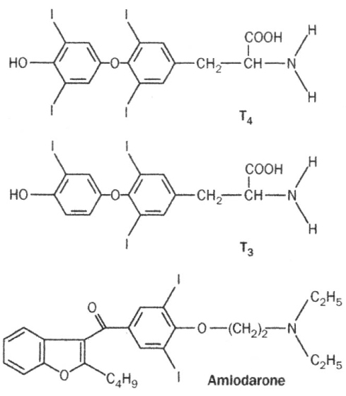 Amiodarone Et Thyroide Revue Medicale Suisse