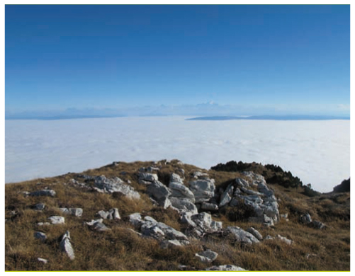 Quel Est Le Role De La Pollution Atmospherique Dans L Asthme Revue Medicale Suisse
