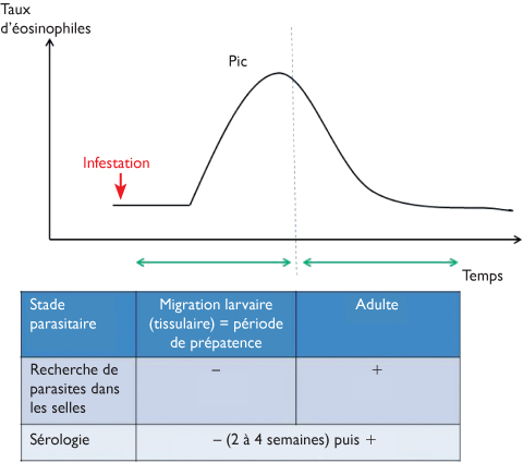 De quels parasites se gratte le corps