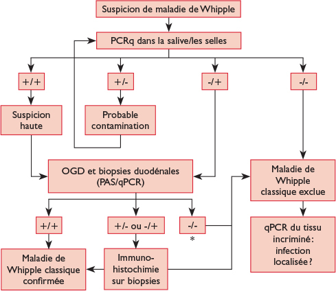 Maladie de Whipple quand y penser ? Revue Médicale Suisse