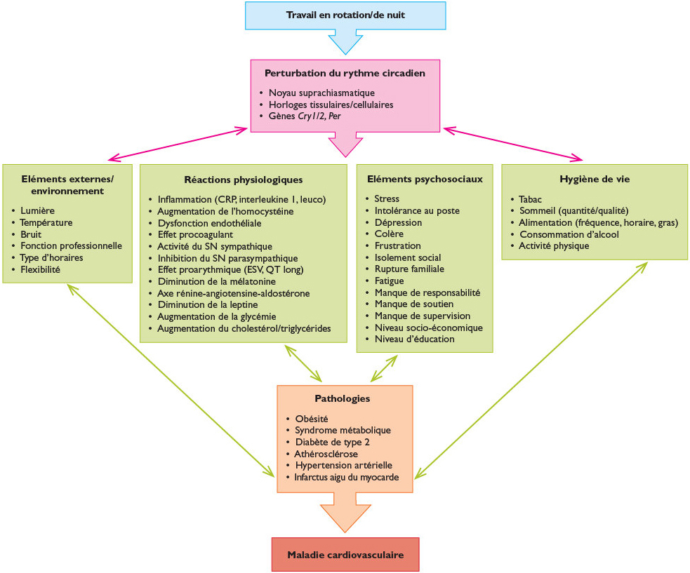 Le Travail De Nuit Ou En Rotation Quel Impact Sur La