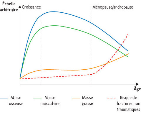 Obesite Gras Et Os Amis Ou Ennemis Revue Medicale Suisse