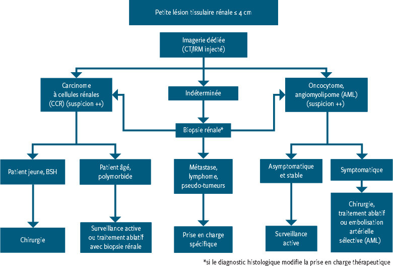 Diagnostic Et Prise En Charge Des Lesions Tissulaires Renales De Petite Taille Revue Medicale Suisse